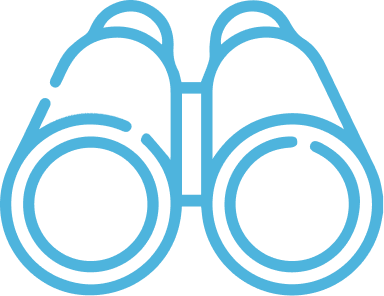 meridian vision icon